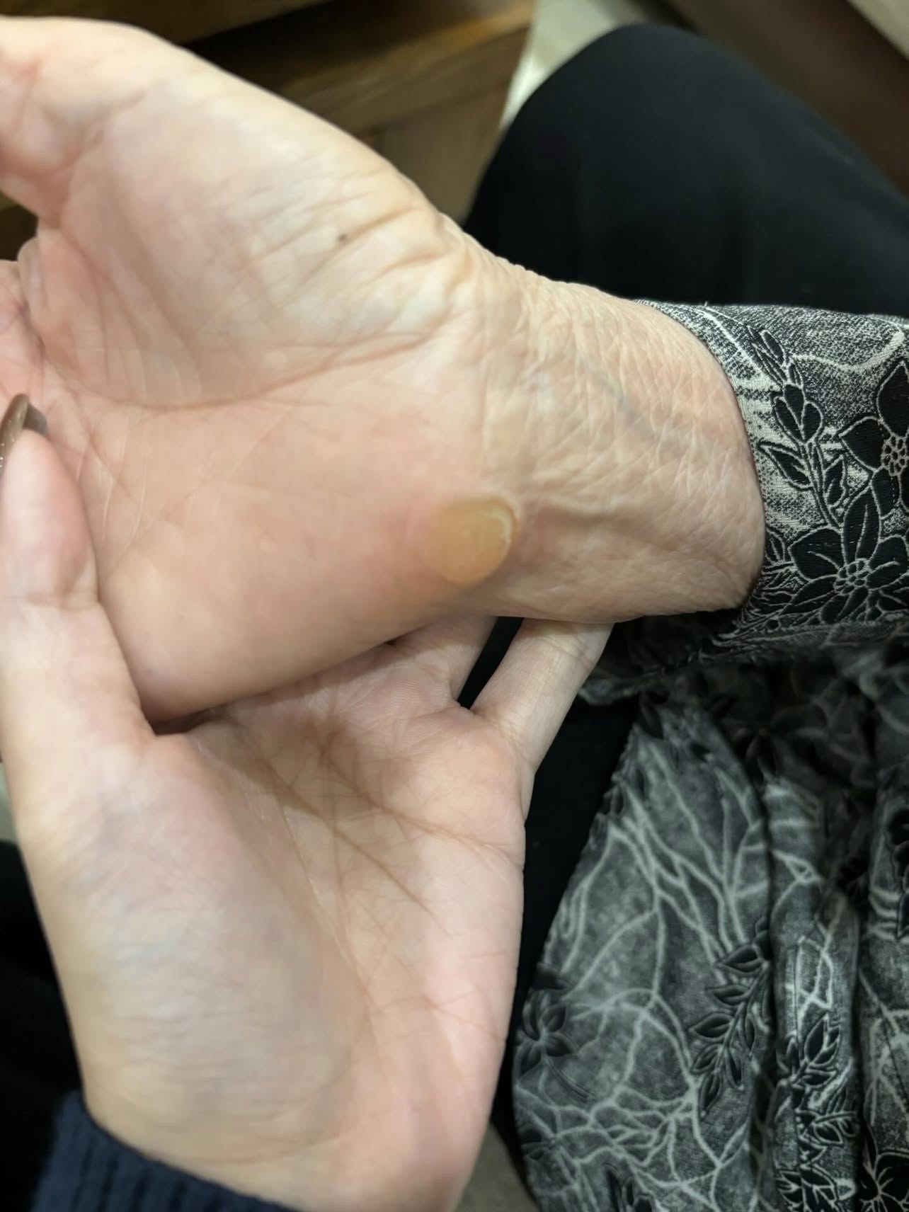 Cụ Bà U90 Đam Mê Game: Hành Trình Chơi Zuma Kéo Dài Hàng Thập Kỷ