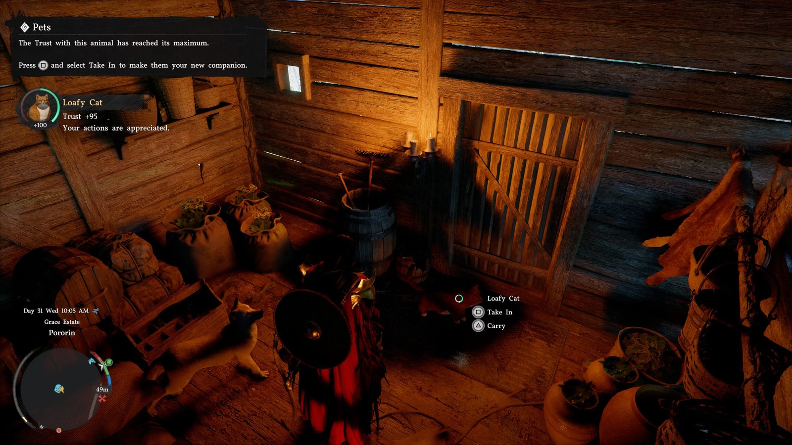 Cách nhanh chóng thuần hóa mèo trong Crimson Desert chỉ với một loại cá đặc biệt - Ảnh 3.